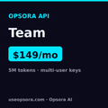 Opsora API — Team
