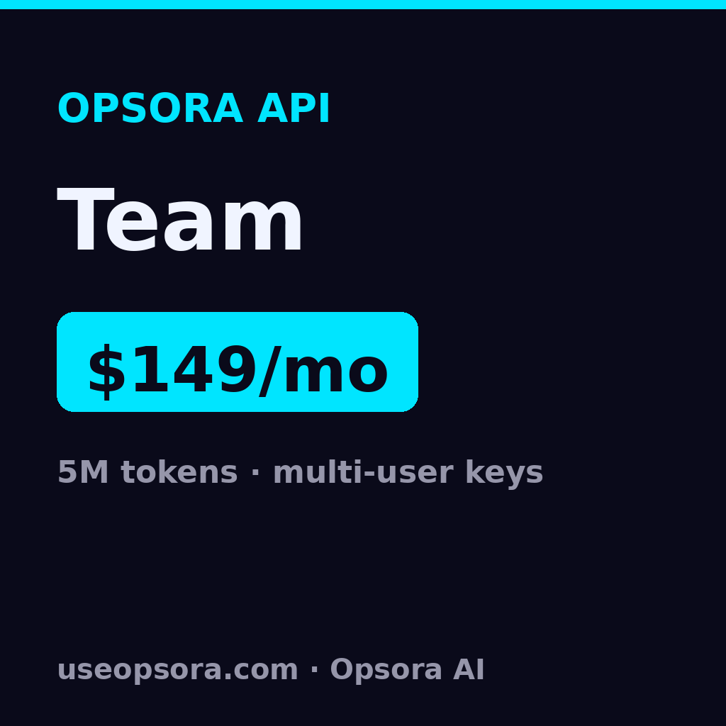 Opsora API — Team
